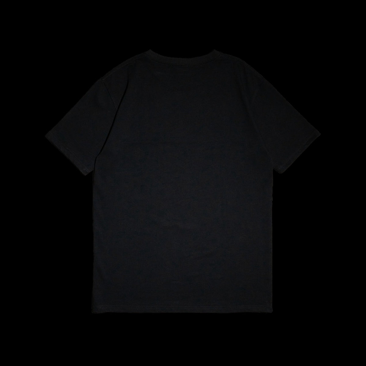 13each × sage Exclusive Tee